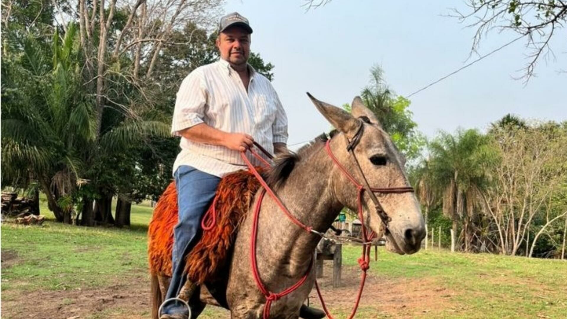 Imagem de compartilhamento para o artigo Pecuarista morre após ataque de abelhas em Camapuã da MS Todo dia